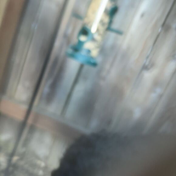 JOIE VIONNE CROCHET LACE Cream DRESS NWT Size Small MSRP $198 - Picture 11 of 16